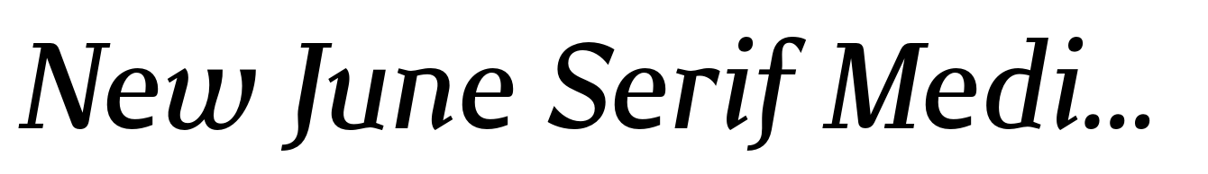 New June Serif Medium Italic